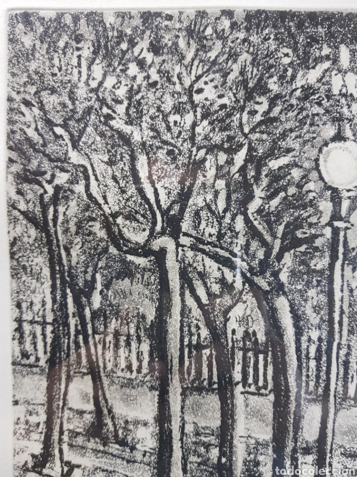 Arte: Grabado de Carme Serra - Foto 7