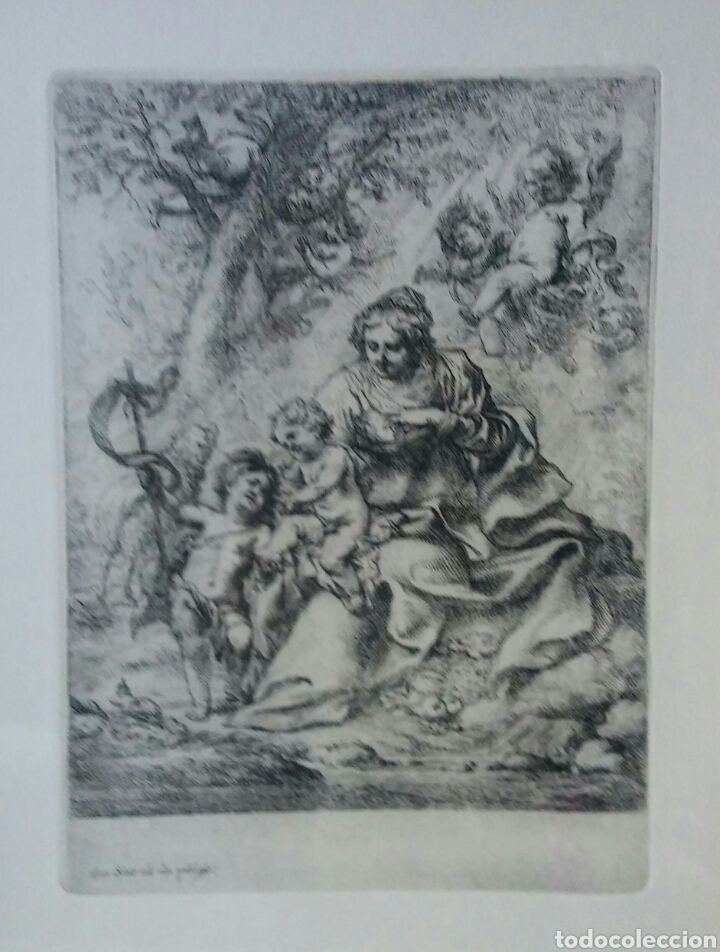 Arte: Grabado antigua de Cornelis Schut - Foto 4