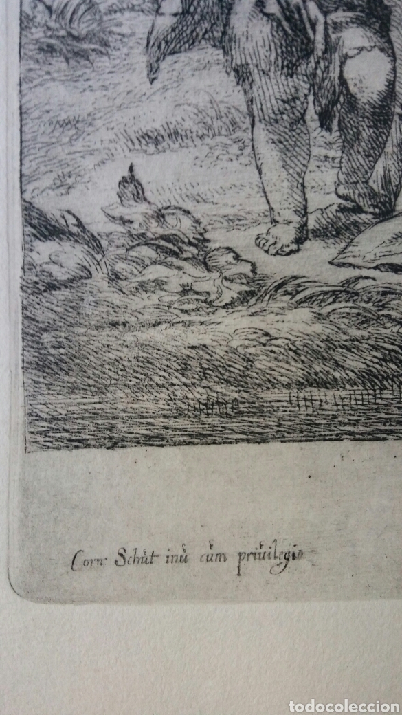Arte: Grabado antigua de Cornelis Schut - Foto 6