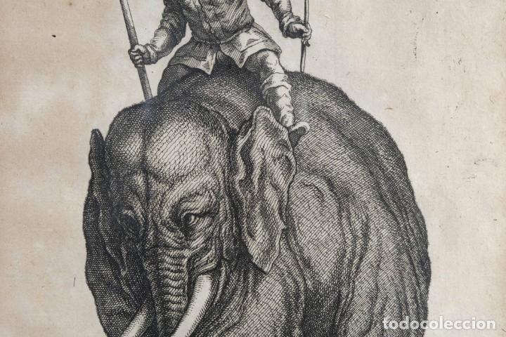 Arte: Grabado antiguo Elefante - Foto 4