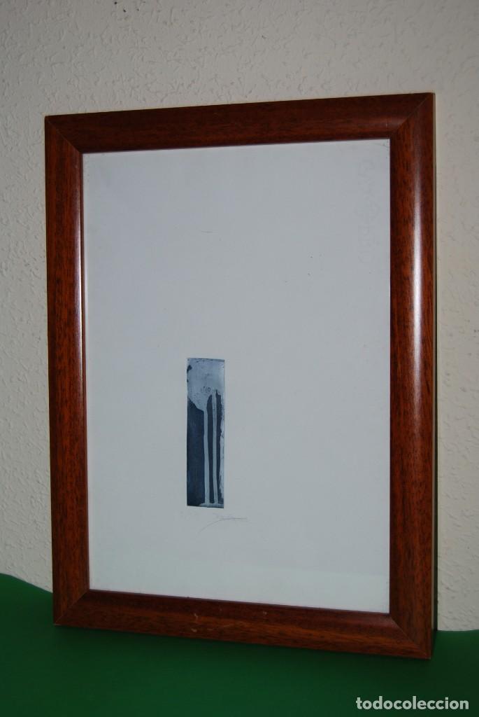 Art: GRABADO DE MAR PAJAR&Oacute;N GUERRERO - NATURALEZA