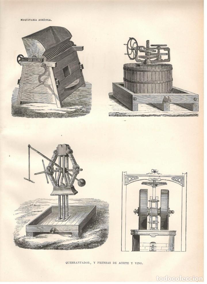 Kunst: MAQUINARIA AGRICOLA: QUEBRANTADOR Y PRENSAS DE ACEITE Y VINO.