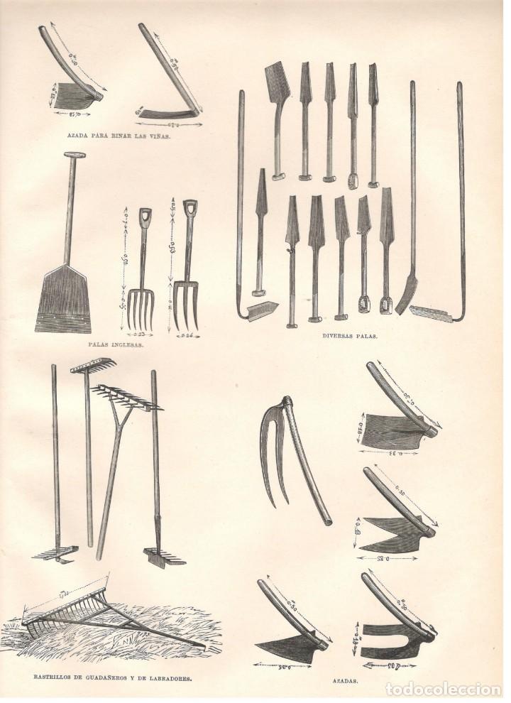 Arte: UTENSILIOS DE AGRICULTURA: ARADA PARA BINAR LAS VI&Ntilde;AS, PALAS, RASTRILLOS, AZADAS.
