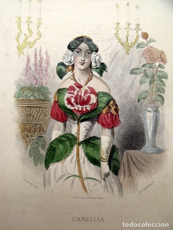 personificación de la flor de la camelia, 1850. - Acheter Gravures Modernes  du XIXe siècle sur todocoleccion