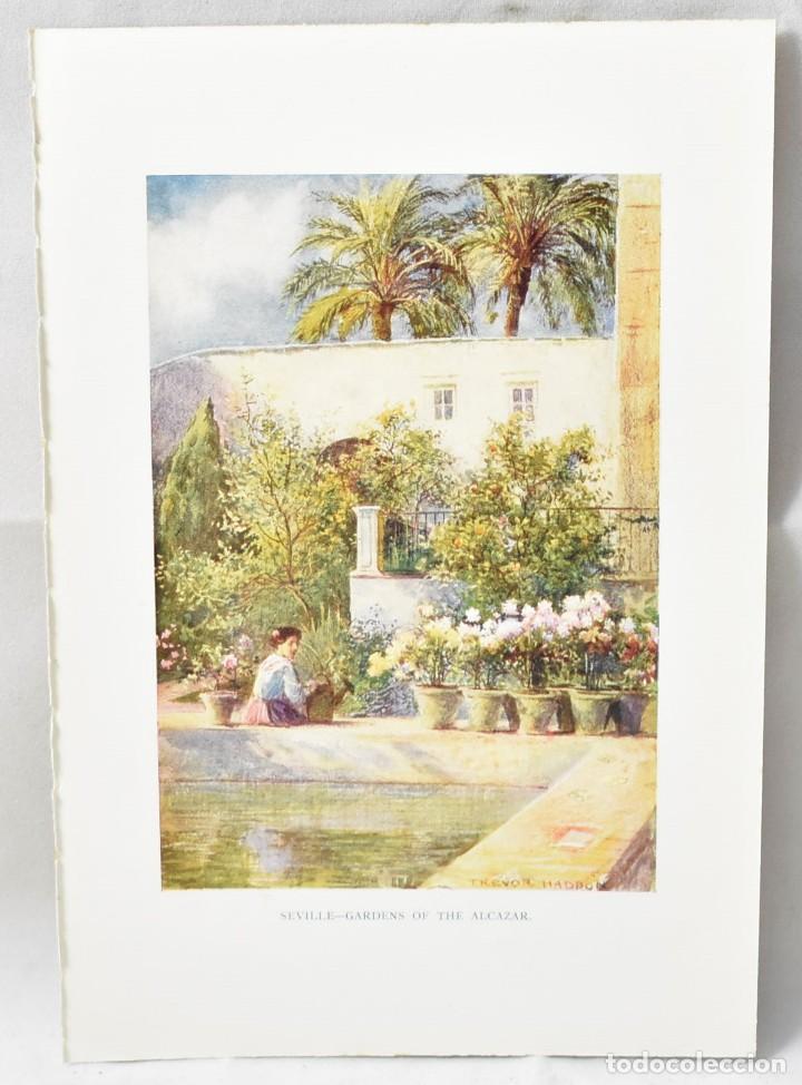 Art: Foto grabado Jardines del Alc&aacute;zar de  Sevilla, 20x13,5cm, Londr&eacute;s (1925),