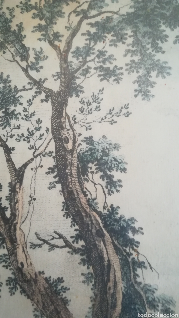 Arte: Antiguo grabado de Francesco Bartolozzi - Foto 5