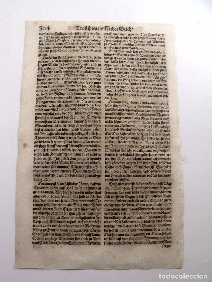 Arte: El rey en su torre de marfil, 1532. Hans Weiditz - Foto 5