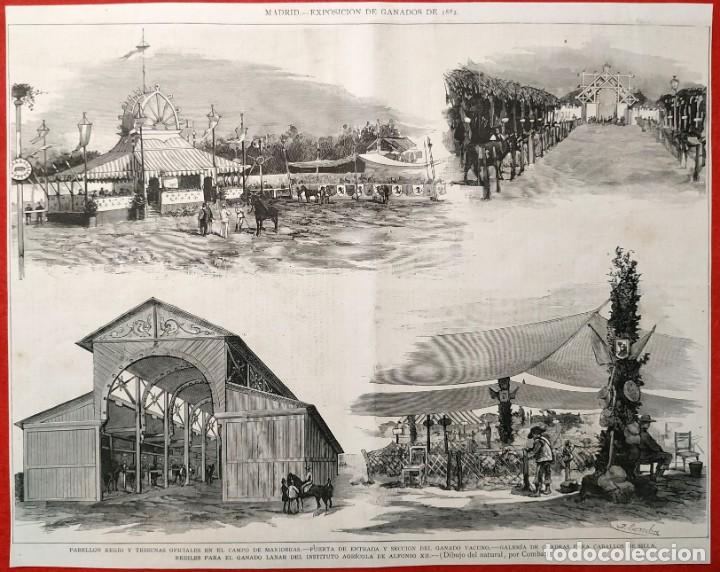 Art: 1880 - Madrid - Exposici&oacute;n de Ganados - Pabellon Regio Alfonso XII - Grandes dimensiones