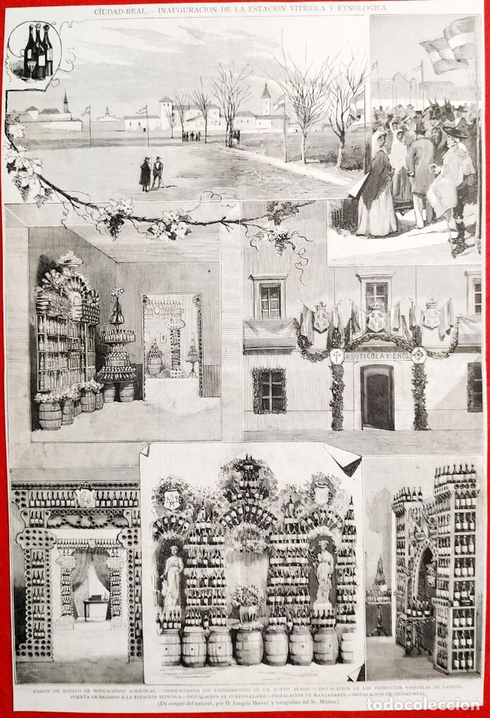 Arte: 1880 - Ciudad Real - Estacion Viticola y Etnologica - Grandes dimensiones