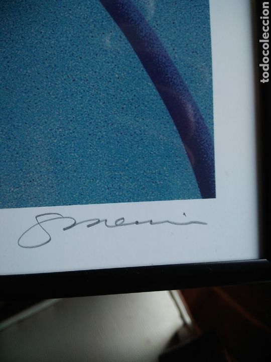 Arte: Serigraf&iacute;a de Steve Mennie. - Foto 5