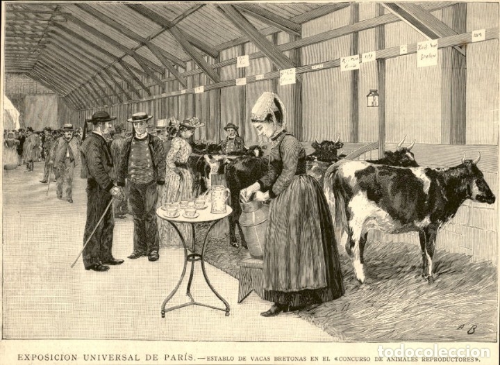 Art: 1889 - Paris - Exposicion universal - Vacas bretonas - La Ilustraci&oacute;n Espa&ntilde;ola