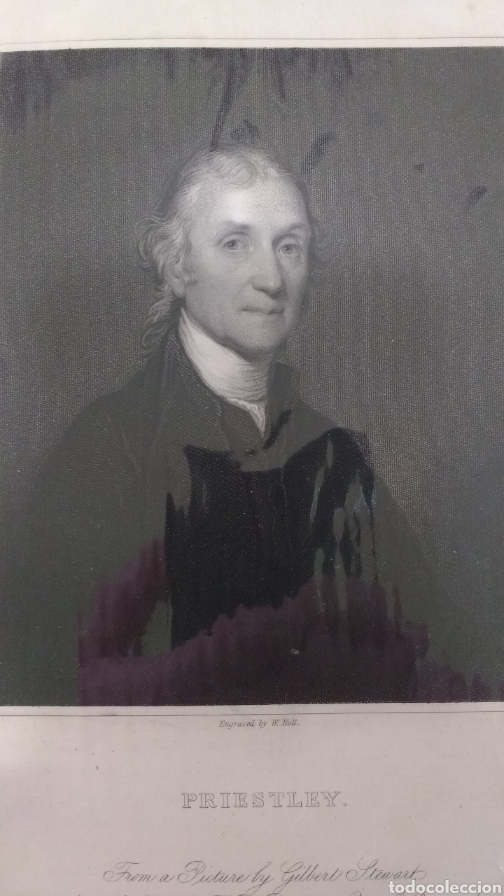 Arte: Priestley. Grabado retrato. - Foto 1