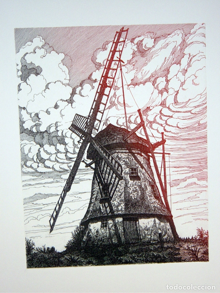 Kunst: Molino holand&eacute;s