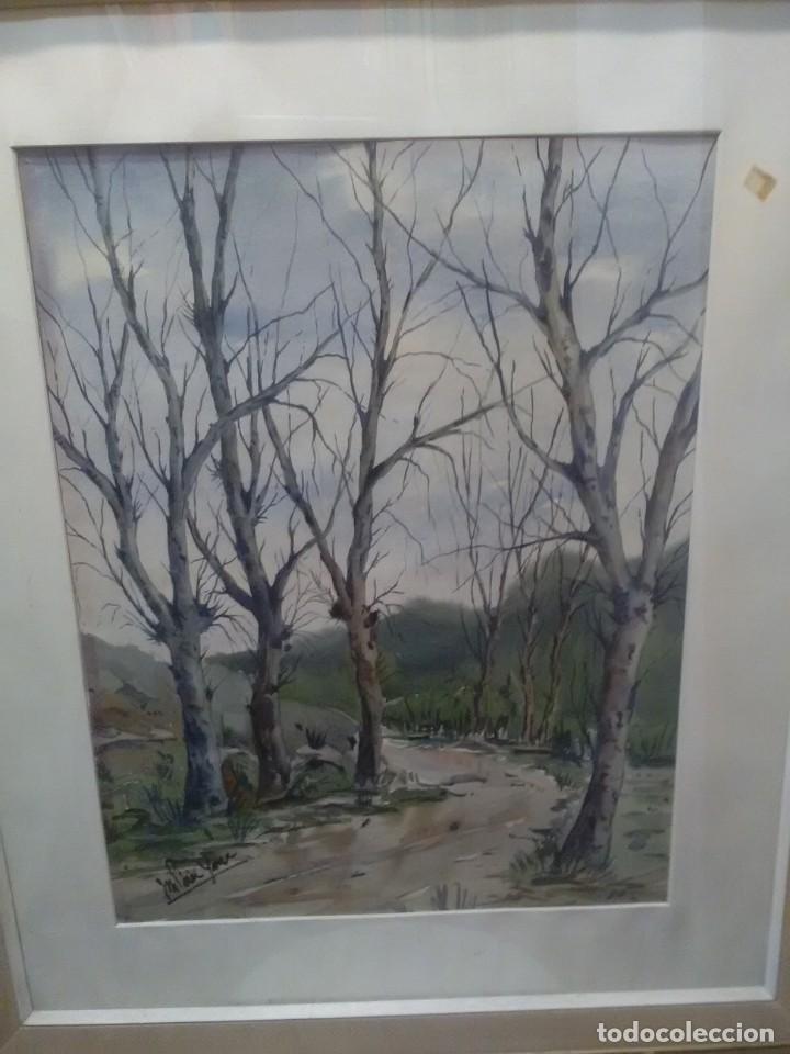 Art: Acuarela de un paisaje oto&ntilde;al. Es de los a&ntilde;os 50 -60 firmada M. P&eacute;rez ... Y enmarcado en Bilbao