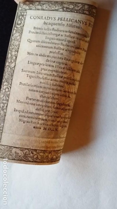 Arte: Conradus PELLICANUS, retrato, 1555 - Foto 5