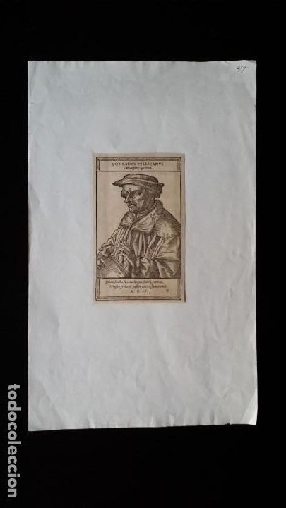 Arte: Conradus PELLICANUS, retrato, 1555 - Foto 2