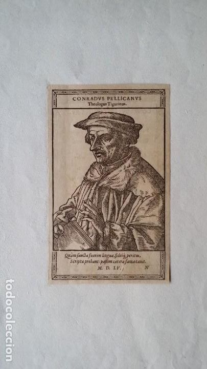 Arte: Conradus PELLICANUS, retrato, 1555 - Foto 3