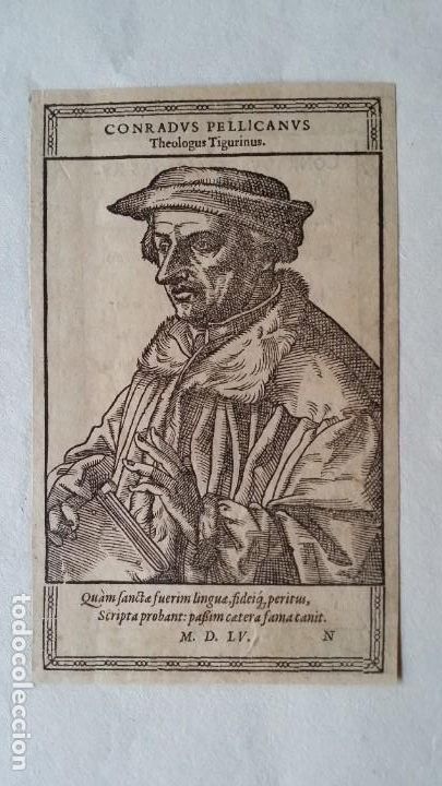 Arte: Conradus PELLICANUS, retrato, 1555 - Foto 1