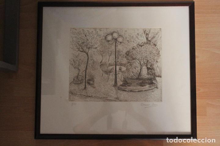 Arte: CARME SERRA, GRABADO, 3/25, - Foto 1