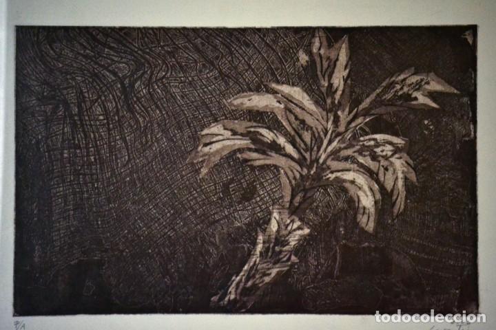 Kunst: Textura, aguafuerte/aguatinta 5/20 de Laura Tierz, tama&ntilde;o de la plancha 39x25 cm