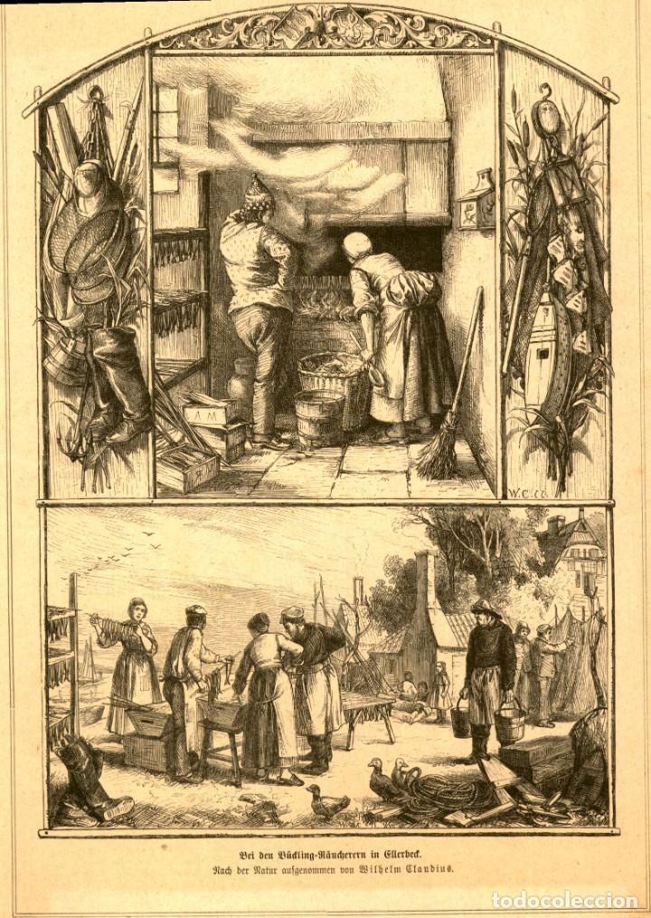 Art: 1882 - Extraccion y tratamiento de la pesca - Grabado aleman de Illustreret Tidende