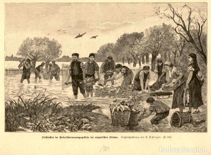 Art: 1889 - Pescadores hungaros de agua dulce - Grabado aleman de Illustrierte Chronik der zeit
