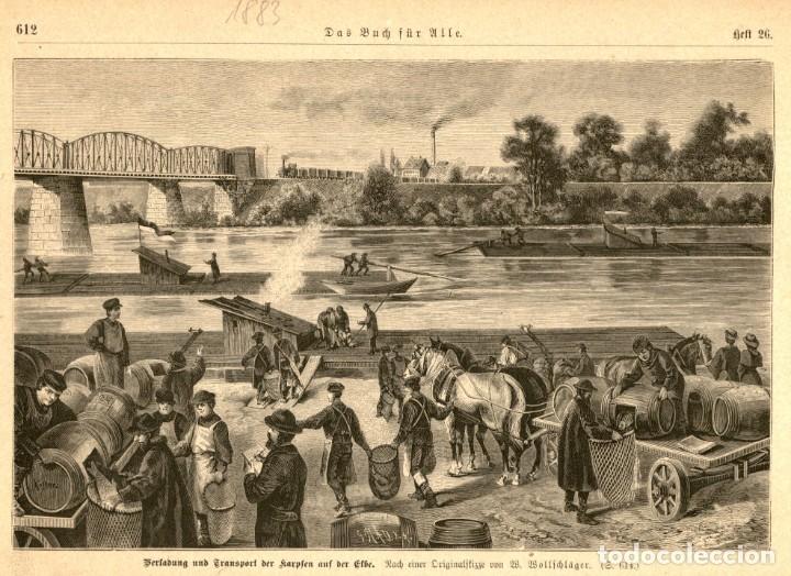 Art: 1860 - Lonja de pescado - Grabado aleman de Illustrierte Chronik der zeit