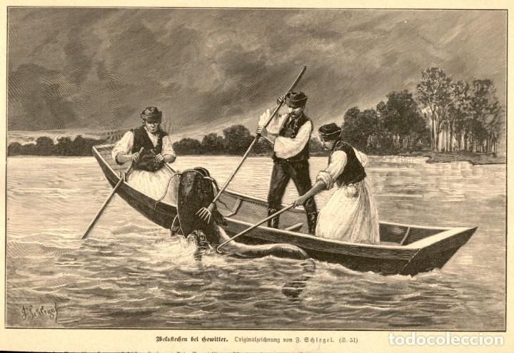Art: 1875 - Pesca del siluro - Grabado aleman de Illustrierte Chronik der zeit