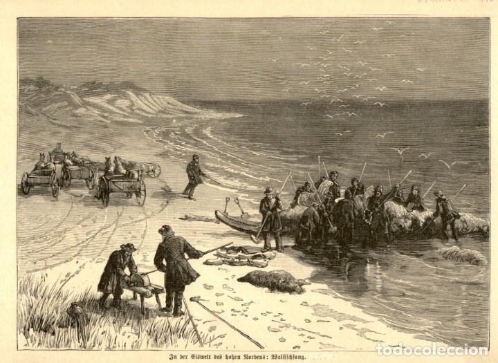 Art: 1875 - Pesca pescadores en el mar - Grabado aleman de Illustrirte Welt
