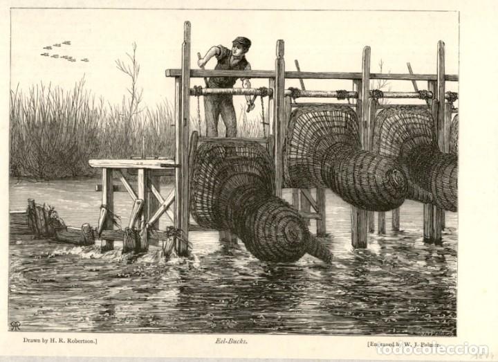 Art: 1874 - Arte de Pesca con redes en rio dulce - Grabado aleman de Das Pfening Magazin