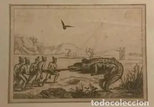 Grabado antiguo de caza de cocodrilos