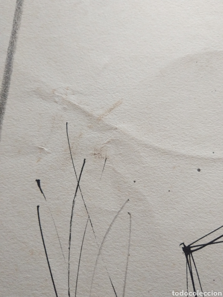 Arte: Grabado de Hern&aacute;ndez Piju&aacute;n - Foto 6
