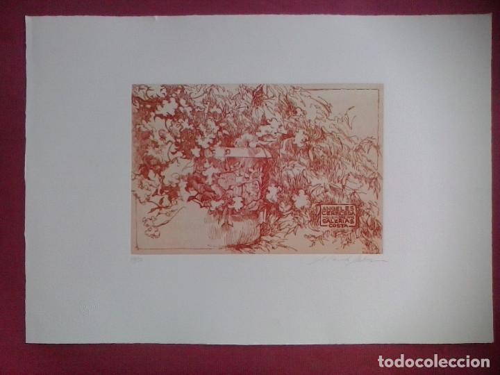 Arte: Mallorca. Cereceda Mart&iacute;nez, &Aacute;ngeles - Foto 2
