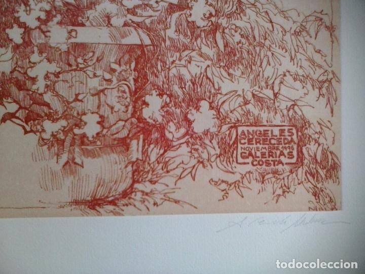 Arte: Mallorca. Cereceda Mart&iacute;nez, &Aacute;ngeles - Foto 5