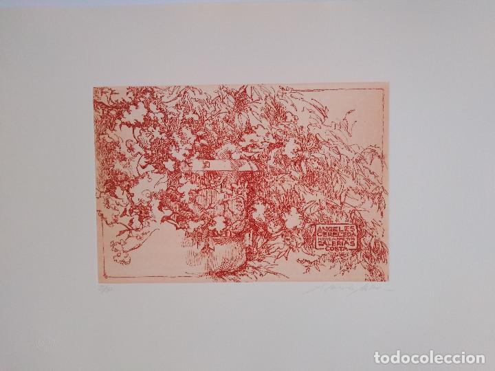 Arte: Mallorca. Cereceda Mart&iacute;nez, &Aacute;ngeles - Foto 10