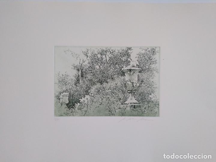 Arte: Mallorca. Cereceda Mart&iacute;nez, &Aacute;ngeles - Foto 3