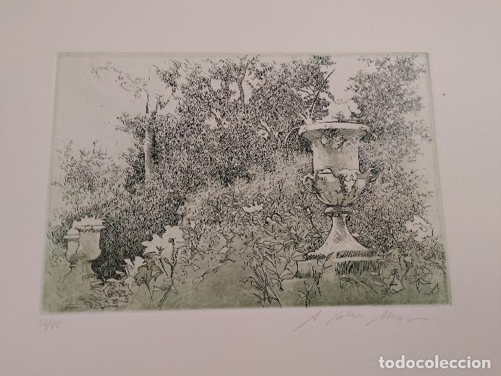 Arte: Mallorca. Cereceda Mart&iacute;nez, &Aacute;ngeles - Foto 5