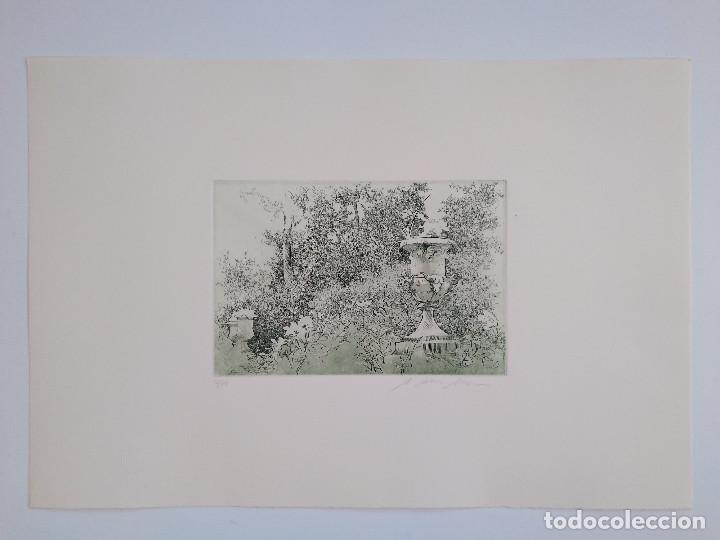 Arte: Mallorca. Cereceda Mart&iacute;nez, &Aacute;ngeles - Foto 6