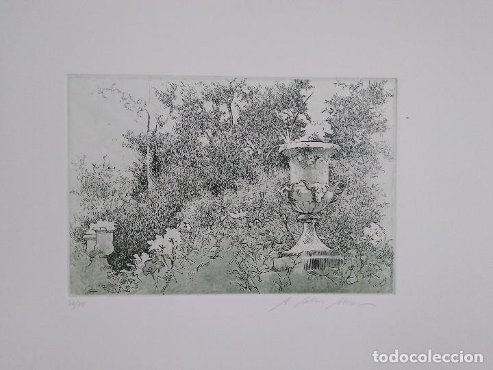 Arte: Mallorca. Cereceda Mart&iacute;nez, &Aacute;ngeles - Foto 8