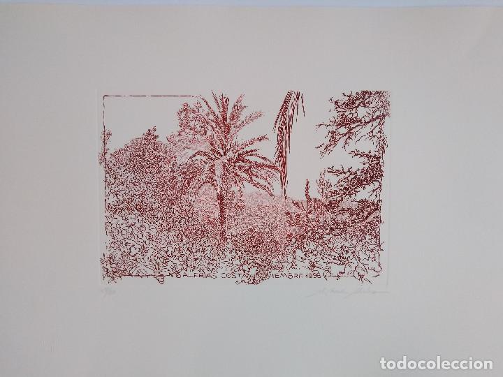 Arte: Mallorca. Cereceda Mart&iacute;nez, &Aacute;ngeles - Foto 2