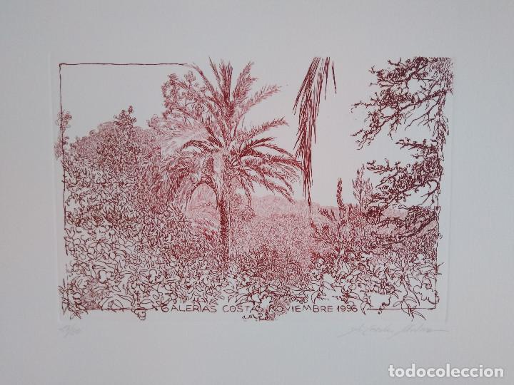Arte: Mallorca. Cereceda Mart&iacute;nez, &Aacute;ngeles - Foto 3