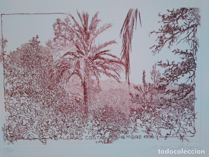 Arte: Mallorca. Cereceda Mart&iacute;nez, &Aacute;ngeles - Foto 4