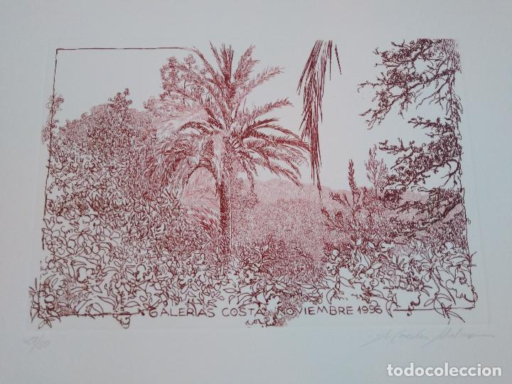 Arte: Mallorca. Cereceda Mart&iacute;nez, &Aacute;ngeles - Foto 5