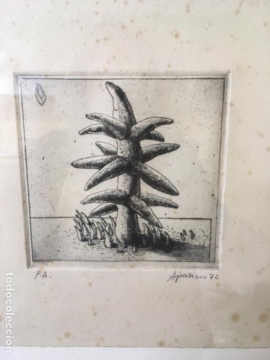 Arte: Gerardo Aparicio aguafuerte P/A 1972 - Foto 5