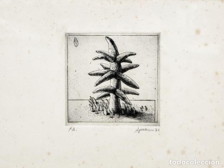 Arte: Gerardo Aparicio aguafuerte P/A 1972 - Foto 1