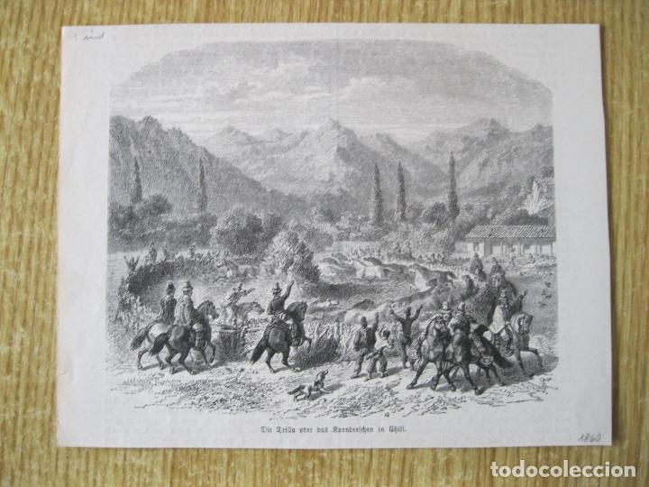 Arte: La trilla de la cosecha (Chile), 1860. An&oacute;nimo - Foto 1