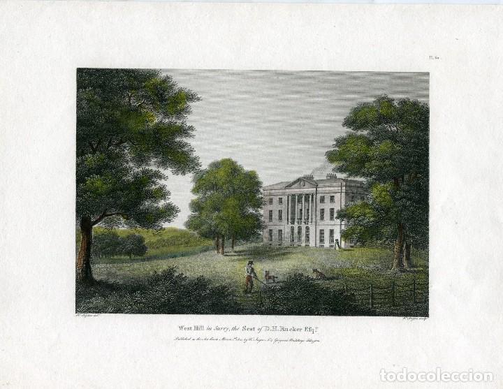 Arte: West Hill, Surrey - Grabado original coloreado de W. Angus seg&uacute;n Repton - 1810