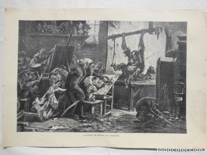 Arte: ACADEMIA DE MONOS. MEYERHEIM P, BHOTE. La Ilustraci&oacute;n Art&iacute;stica. 1880