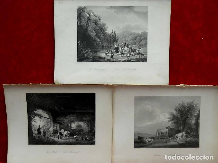 Arte: Lote 3 grabados escenas de caza Royal Dresden Gallery Payne&acute;s 1850