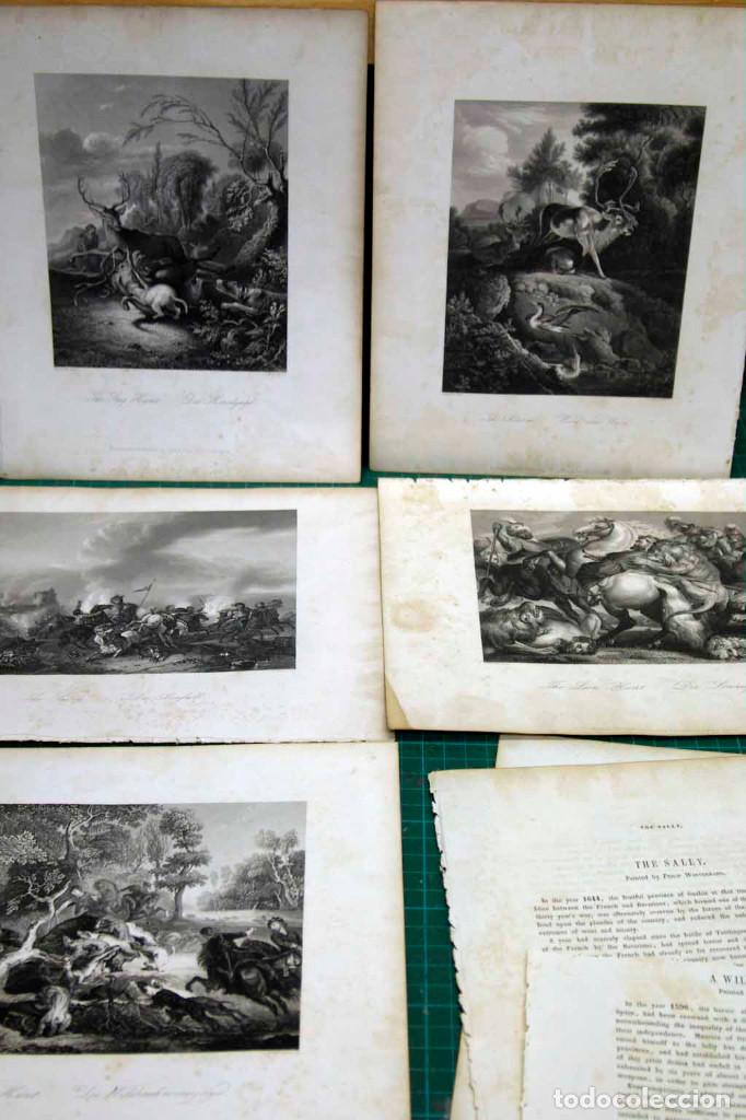 Arte: Lote 5 grabados escenas de caza Royal Dresden Gallery Payne&acute;s 1850
